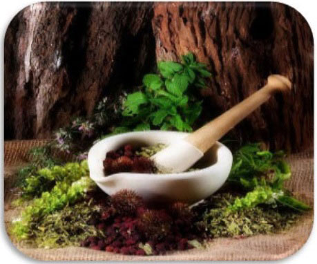 طرح توجیهی فنی اقتصادی تولید انواع گیاهان دارویی و تهیه دارو، عصاره و اسانس از آنها با روش سیال فوق بحرانی